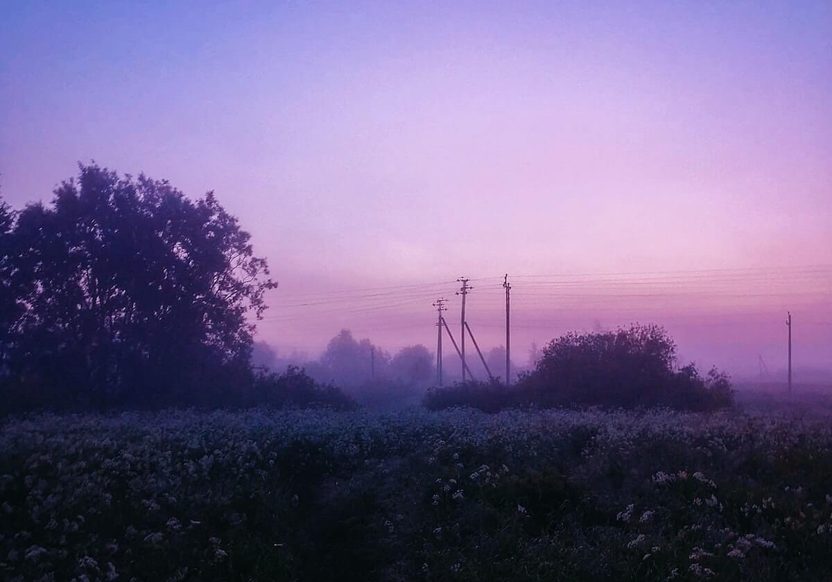 糖心Vlog相关说法的结构小讲义：重点是图像语境（把要点列出来）